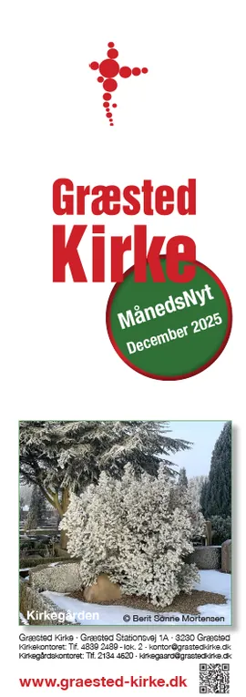 MånedsNyt December 2025