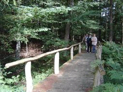 Pilgrimsvandring