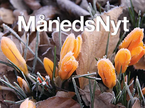 MånedsNyt