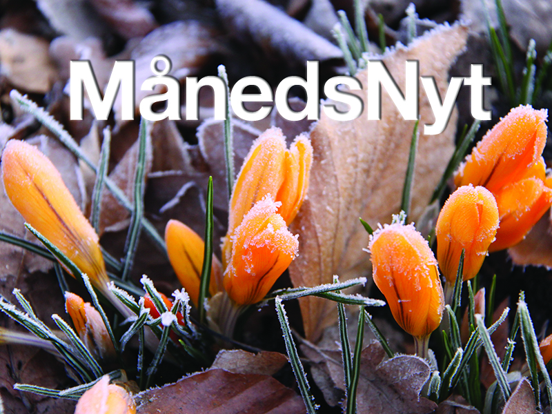 MånedsNyt